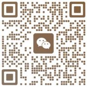 the qr code