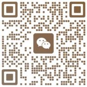 the qr code